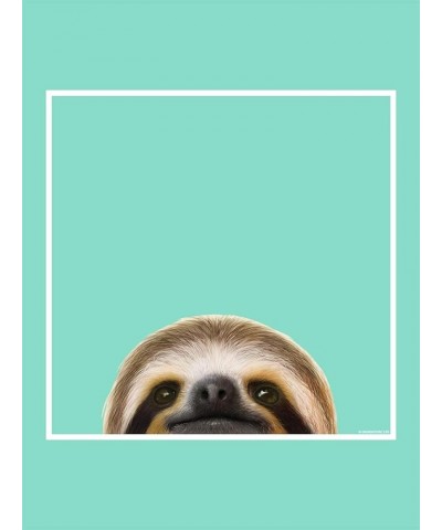 Sloth Tote Bag Mint $10.89 Totes