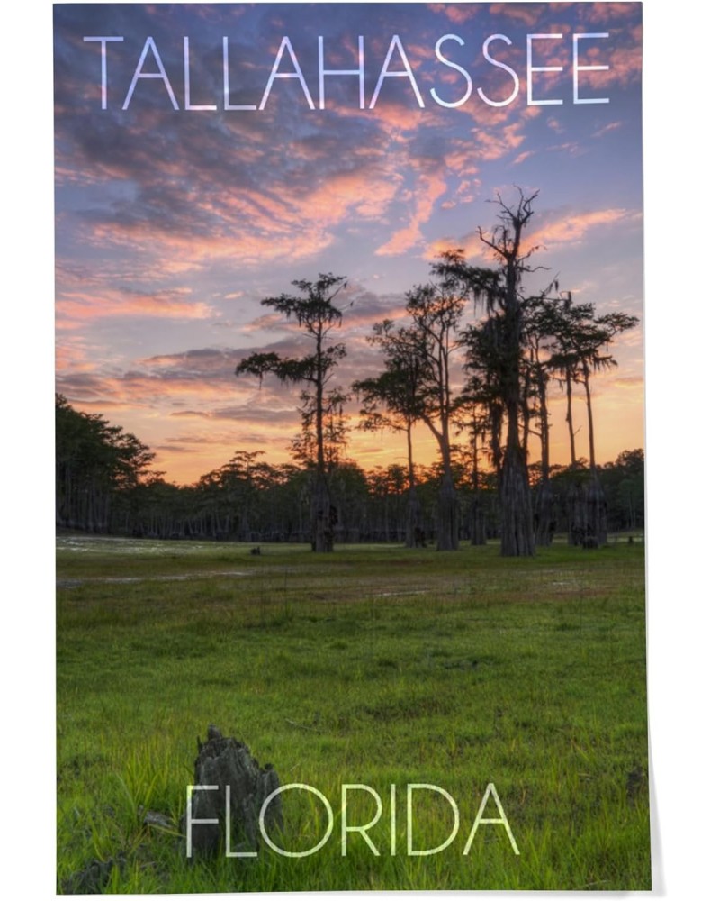 24x36 Inch Giclee Art Print Wall Decor, Tallahassee, Florida, Cypress and Sunset $25.00 Totes