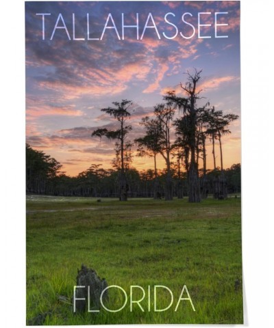 24x36 Inch Giclee Art Print Wall Decor, Tallahassee, Florida, Cypress and Sunset $25.00 Totes