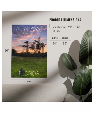 24x36 Inch Giclee Art Print Wall Decor, Tallahassee, Florida, Cypress and Sunset $25.00 Totes