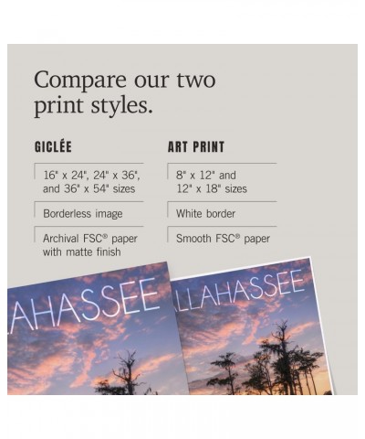 24x36 Inch Giclee Art Print Wall Decor, Tallahassee, Florida, Cypress and Sunset $25.00 Totes