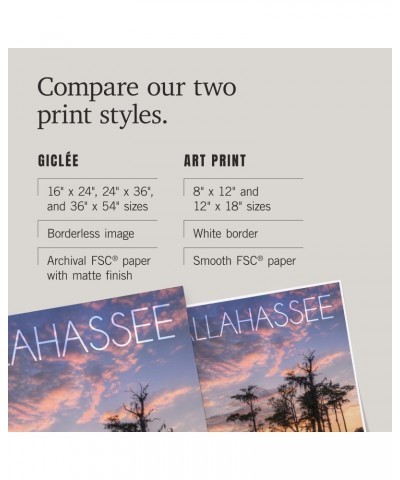 24x36 Inch Giclee Art Print Wall Decor, Tallahassee, Florida, Cypress and Sunset $25.00 Totes