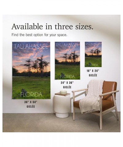 24x36 Inch Giclee Art Print Wall Decor, Tallahassee, Florida, Cypress and Sunset $25.00 Totes