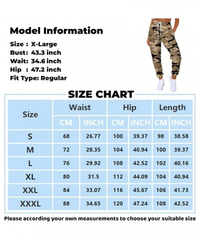 Womens Cargo Sweatpants Baggy Elastic Loose Pants Warm Casual Casual Loose Trousers Drawstring for Yoga Sweat Pants 1-dark Gr...